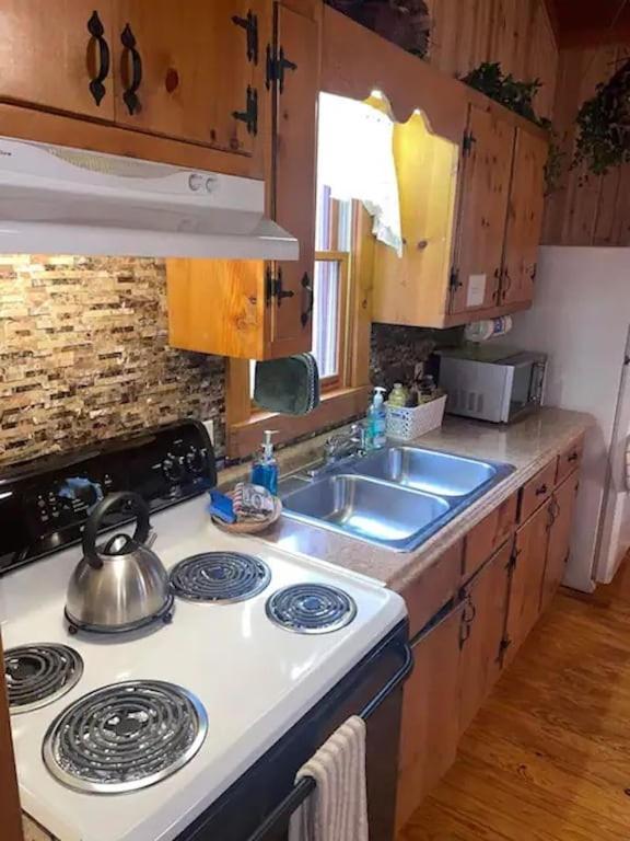Cozy Cabin: River View With Hot Tub داهلونغا المظهر الخارجي الصورة
